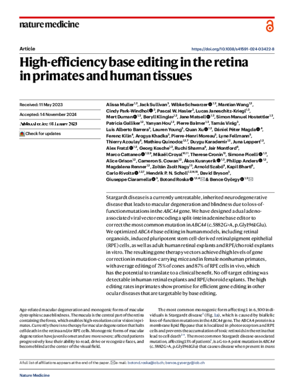 High-efficiency base editing in the retina in primates and human tissues